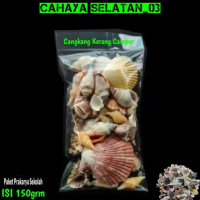 Cangkang kerang campur / Paket cangkang kerang campur /per 150gr Cocok Buat Tugas Sekolah Prakarya