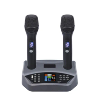 Professional 100 channel with mixer echo reverb howling anti vocal cut BT DSP wireless microphone