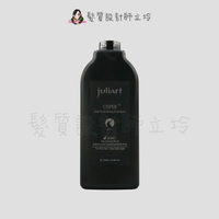立坽『洗髮精』美科實業公司貨 juliArt覺亞 希沛絲蘊髮洗髮精(油性頭皮)1000ml HS02 HS05