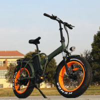 Lithium Battery Electric Folding Bicycle 20inch Fat Tire Foldable Electric Bike Factory Price RSEB507