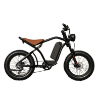 20 inches fat tire mountain bikes adults electric bicycle 48v 750w electric fat tire bike buy from China warehouse