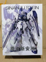 READY - DABAN 6623 MG 1/100 SINANJU STEIN MODEL KIT (NEW MOLDING 2024)