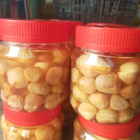 JERUK KELUBI CIK B BALING