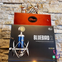 現貨可分期 贈導線/避震架/木質盒 Blue Bluebird SL 專業級 大震膜 電容式 麥克風 直播 收音 唱歌