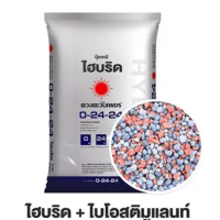 (ยกกระสอบ25kg) ปุ๋ยไฮบริด 0-24-24 สำหรับเปิดตาดอก กดใบไม่มีไนโตรเจน ลดการแตกยอดอ่อน เร่งดอก  ใช้ได้ก