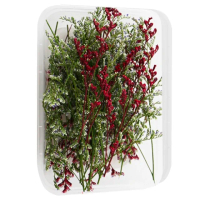 【A-ONE 匯旺】永生情人草 DIY天然乾燥花 永生花材料包 植物果實 花材 花藝 不凋花 聖誕拍照 乾花(A20)