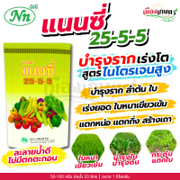 ปุ๋ย ปุ๋ยเกล็ด แนนซี่ ปุ๋ย เกล็ด 25 5 5 ขนาด 1 กิโลกรัม ฮอร์โมนพืช สูตรบำรุงผลผลิต ลมเบ่งเร่งเต่งทาง