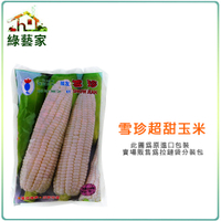 【綠藝家】大包裝G85.雪珍超甜玉米(純白色牛奶玉米)種子70克(約330顆)