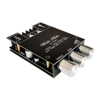 dwan 1002MT Dual Channel Power Amplifier Board Module for Bookshelf Computer Desktop Speakers Home Nightclubs for Cars
