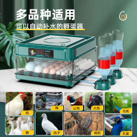 【最低價】【公司貨】孵化器全自動小型家用迷你孵化機孵蛋器蘆丁雞智能水床小雞孵化箱