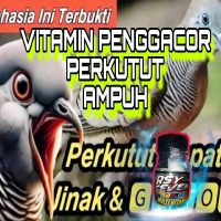 Multivitamin Arsy 7 untuk Meningkatkan Gairah Hidup dan Suara Burung