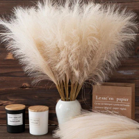 Pampas Grass Simulation Reed Grass for Wedding Home Bedroom Decor Wedding Guide Photo Prop Background Artificial Flowers