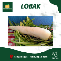Lobak Segar Pangalengan / Sayuran Lobak Segar Petani Pangalengan