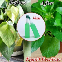 38ml Hydroponic Plant Nutrient Solution Organic Fertilizer