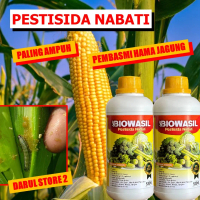 Obat Tanaman Jagung Atasi Hama Pada Buah Jagung Paling Ampuh Pestisida untuk Hama Buah Dan Sayur Jag