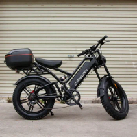 Disiyuan 20 inch Cargo Mtb Electric Bike 48V Fat Tire Bicycle v20 bike Mountain 1000w 500w Super S9