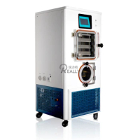 0.2㎡ Lyophilized Vegetable And Fruit Apple Kiwi Chips Vacuum Freeze Dryer Freeze Dehydrators For Food Commercial Machine