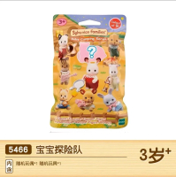 DL hot original Sylvanian Families model toys baby  figure room dress up cute  cake  bag doll birthd