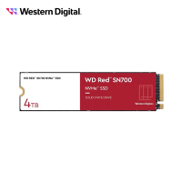 WD 紅標 SN700 4TB NVMe PCIe NAS SSD