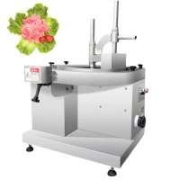 Automatic Electric Frozen Meat Slicer Household Steak Vegetable Fruit Sausage Mutton Bread Food Slicing Machine