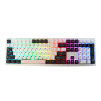 【Ducky】Zero 6108 100% RGB 三模無線機械式鍵盤 中文 珊瑚(阿米洛 雛菊黃軸/鳶尾藍軸)