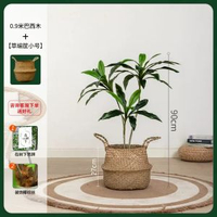 模擬綠植物盆栽天鵝絨巴西木高階輕奢北歐風室內客廳落地裝飾擺件