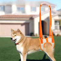 【寵愛腿】狗狗後腿輔助帶(高齡犬 老犬 老狗 上下樓梯 術後復健 受傷癱瘓 復健助行 助行帶 狗牽繩 訓練)
