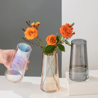 Modern Glass Vase, Colorful Terrarium, Small Flower Pot, Hydroponic Systems, Aesthetic Room, Home Decoration