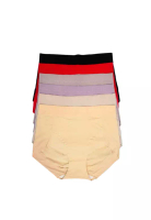 Kiss & Tell 6 Pack Esther Plus Size Shaping Panties Bundle A