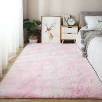 臥室床邊毯 地墊臥室床邊地毯粉色少女床邊毯長絨毛家用房間客廳全滿鋪可定製【HZ2610】