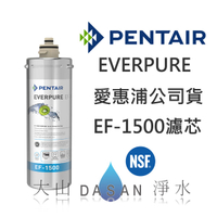 EF-1500 愛惠浦濾芯 贈7-11禮卷$300 EVERPURE 台灣愛惠浦 公司貨 濕式碳纖活性碳 EF1500 濾心