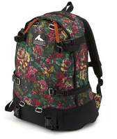 ├登山樂┤美國 GREGORY Day & A Half  33L 日系花園油彩背包 # 65153-0511
