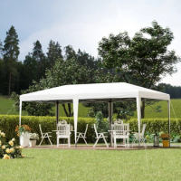 10' x 20' Pop Up Canopy Outdoor Gazebo Party Tent with Carrying Bag, Sturdy Construction, Durable, Easy to Transport, White
