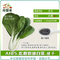 【綠藝家】A105.松柏奶油白菜種子 1.5克(約680顆) 牛奶白菜