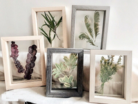 北歐實木相框植物標本干花創意雙面透明實木相框擺件永生花畫框