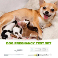 Pet dog early pregnancy test paper card canine pregnancy antigen test kit early pregnancy test strips pregnancy test paper