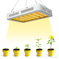 led植物燈1000Wled全光譜植物生長燈多肉led植物補光燈  城市玩家