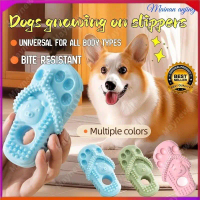 【On Sale】Pet Toys Dogs Gnawing on Slippers Dog Toys Bite Resistant