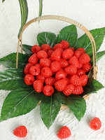 仿真紅黑覆盆子模型樹莓假水果野草莓桑葚迷你小果蔬拍攝道具教具