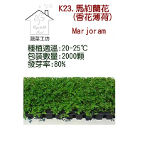 【蔬菜工坊】K23.馬約蘭花種子(香花薄荷)