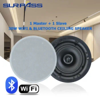 Home 2pcs 30W WiFi Ceiling Speaker Bluetooth Theater Speakers Built-in Class D Digital Amplifier for Indoor Ceiling Audio System
