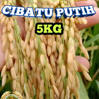 BENIH PADI CIBATU PUTIH GENJAH 5KG