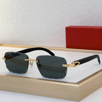 New Men's Women's Sunglasses Fashion Square Frameless Design Luxurious Brand High-quality CT0529S Photochromic Lenses Glasses