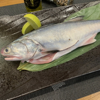 【有魚生鮮】野生午仔魚325g