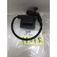 《青春少年家》光陽 原廠 LHJ8 高壓線圈 點火線圈 考耳 噴射 NEW MANY ROMEO VJR 125 110