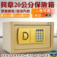 【興雲網購】20公分保險箱(防盜金庫 保管箱 保密櫃 現金箱 保險櫃)
