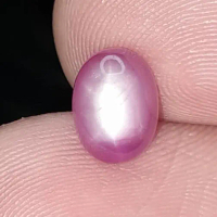 Natural Pink Ruby Star Dim: 8 x 6 x 4 mm 2.3 Ct Birma Color Fatwa Oval Cabochon Asli Code A598