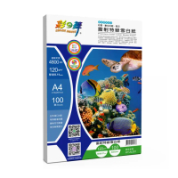 【彩之舞】雷射特級雪白紙 120g A4 100張/包 HY-AL001x2包(A4、雷射紙)