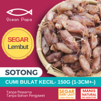 Ocean Papa Sotong Kering Cumi (Lembut) (150G) / Mini Dried Squid Food