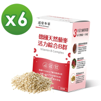 【達摩本草】專利天然藜麥綜合B群x6盒 (60粒/盒)